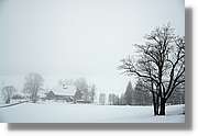 SWald_042.jpg
