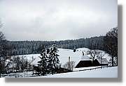 SWald_046.jpg