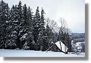 SWald_047.jpg
