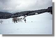 SWald_048.jpg