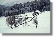 SWald_049.jpg