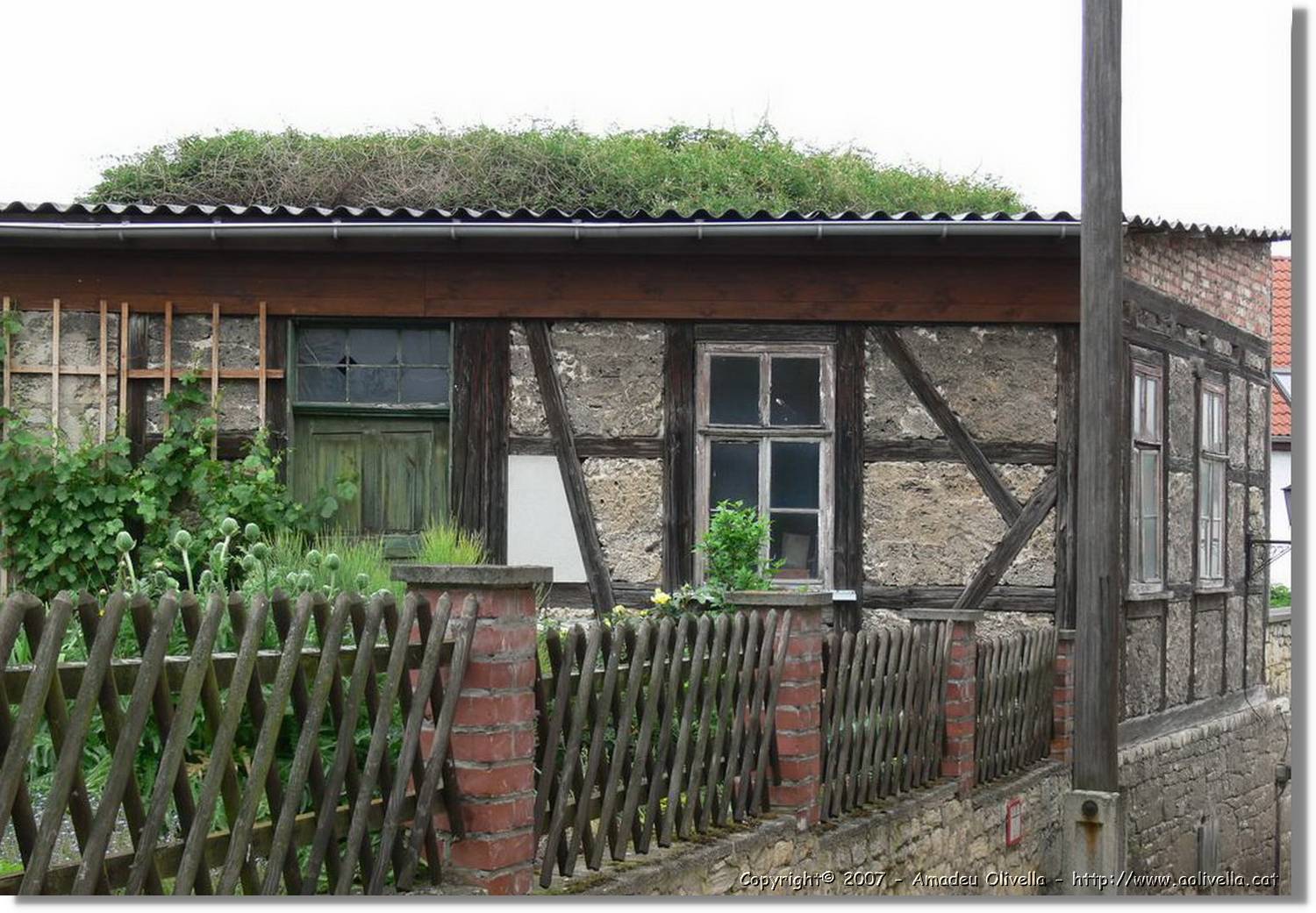 Thüringen_064.jpg