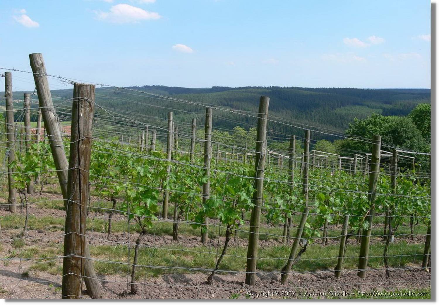 Thüringen_077.jpg