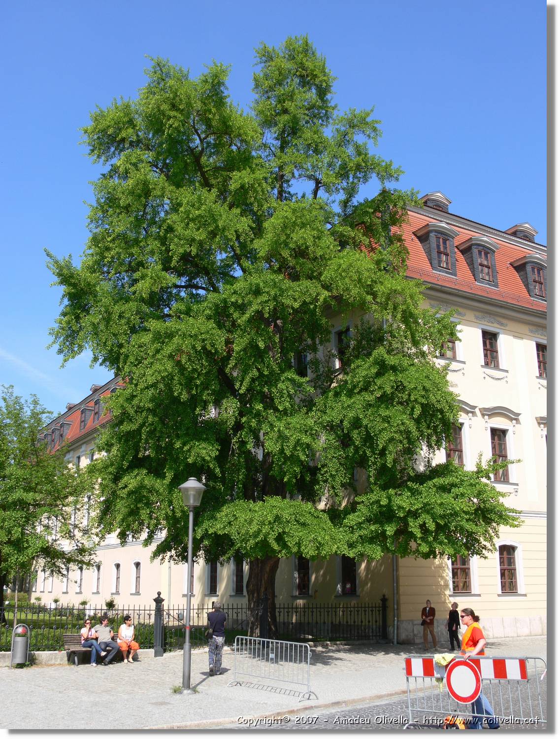 Weimar_087.jpg