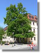 Weimar_087.jpg