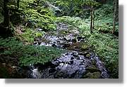 Ravenna_216.jpg