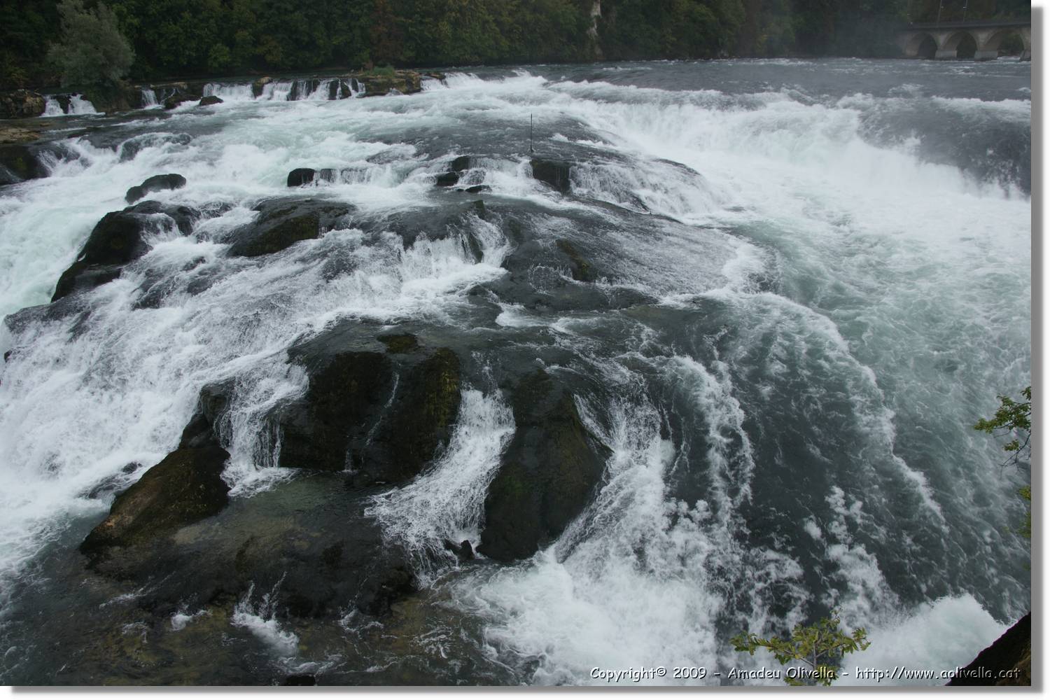 Rheinfall_022.jpg