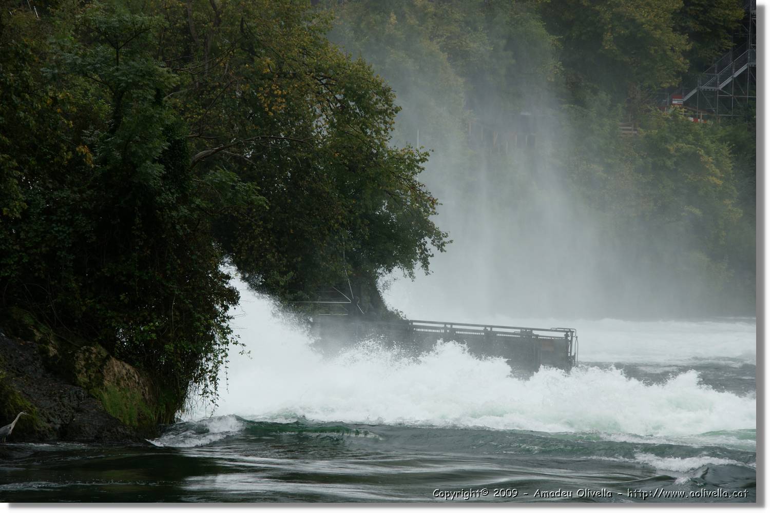 Rheinfall_053.jpg