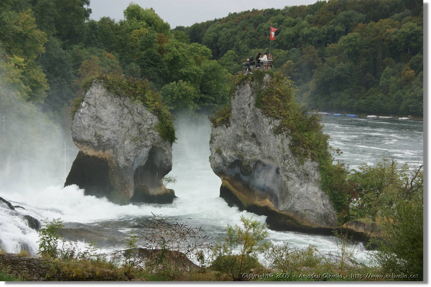 Rheinfall_063.jpg