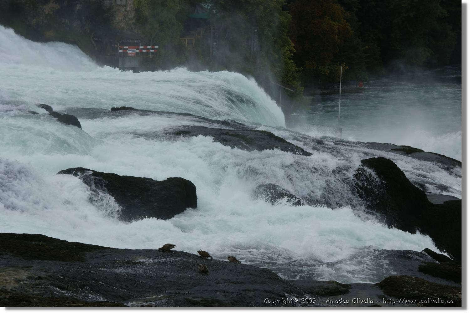 Rheinfall_068.jpg