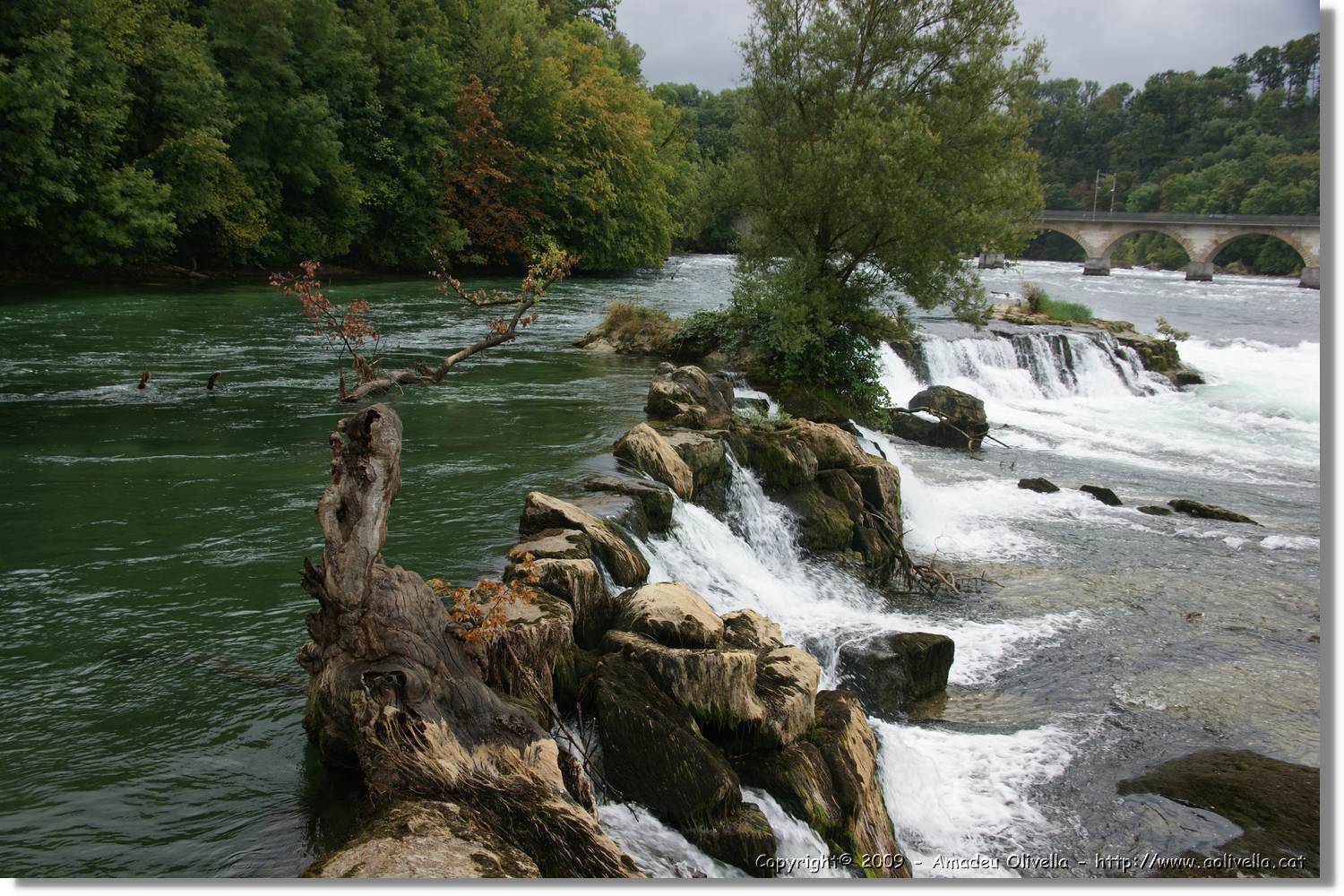Rheinfall_069.jpg