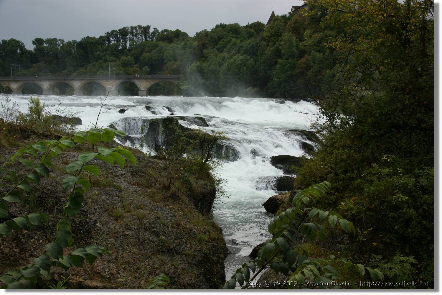 Rheinfall_073.jpg