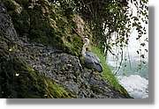 Rheinfall_057.jpg