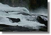 Rheinfall_068.jpg