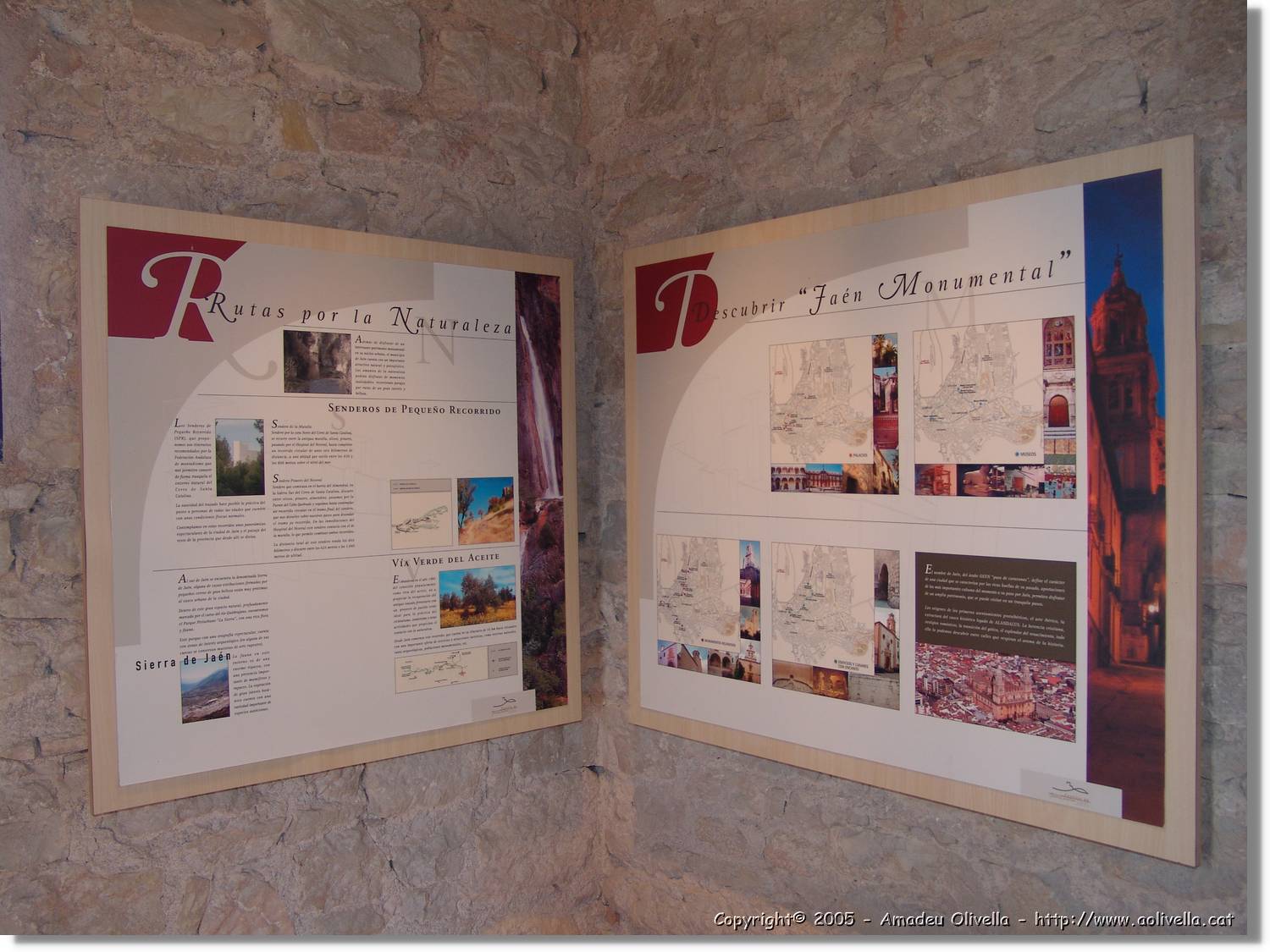 4Jaen_229.jpg