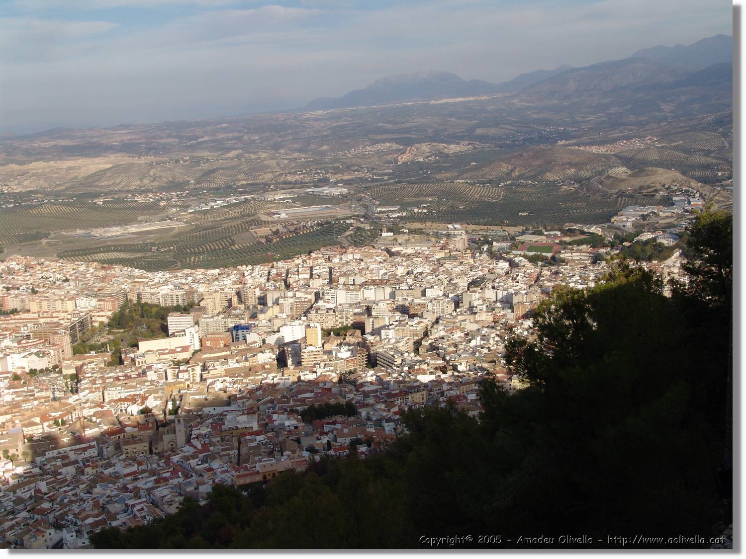 4Jaen_238.jpg