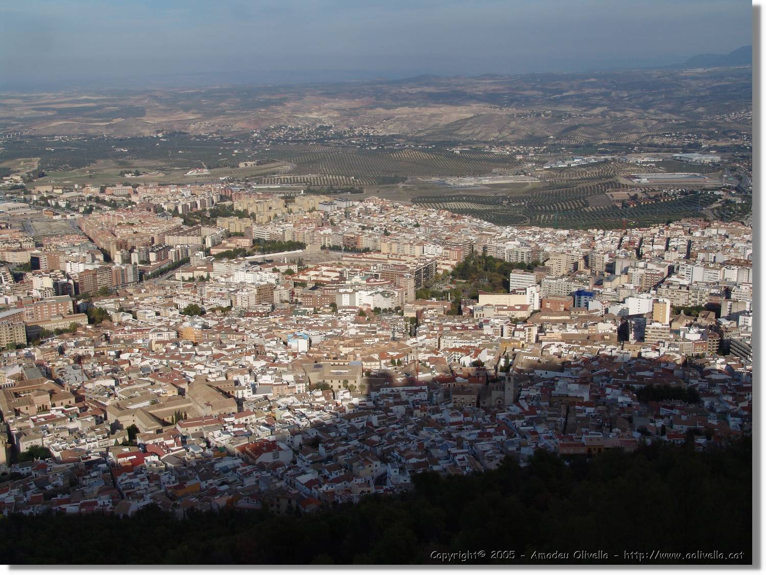 4Jaen_239.jpg