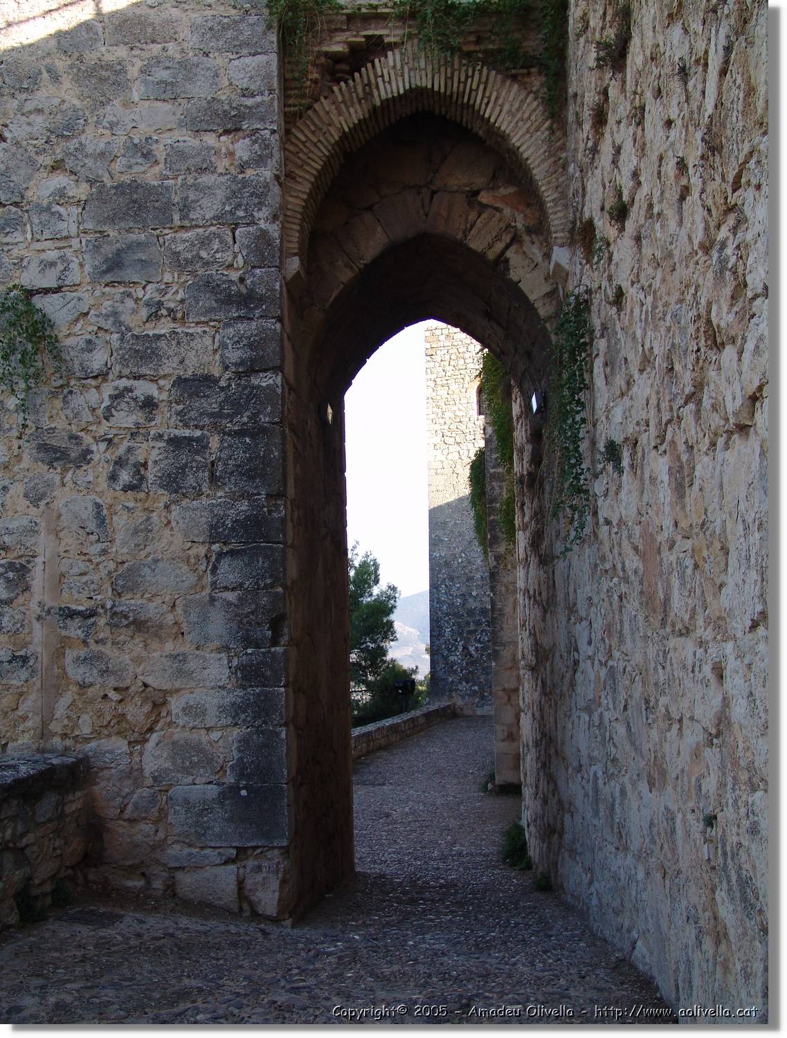 4Jaen_244.jpg
