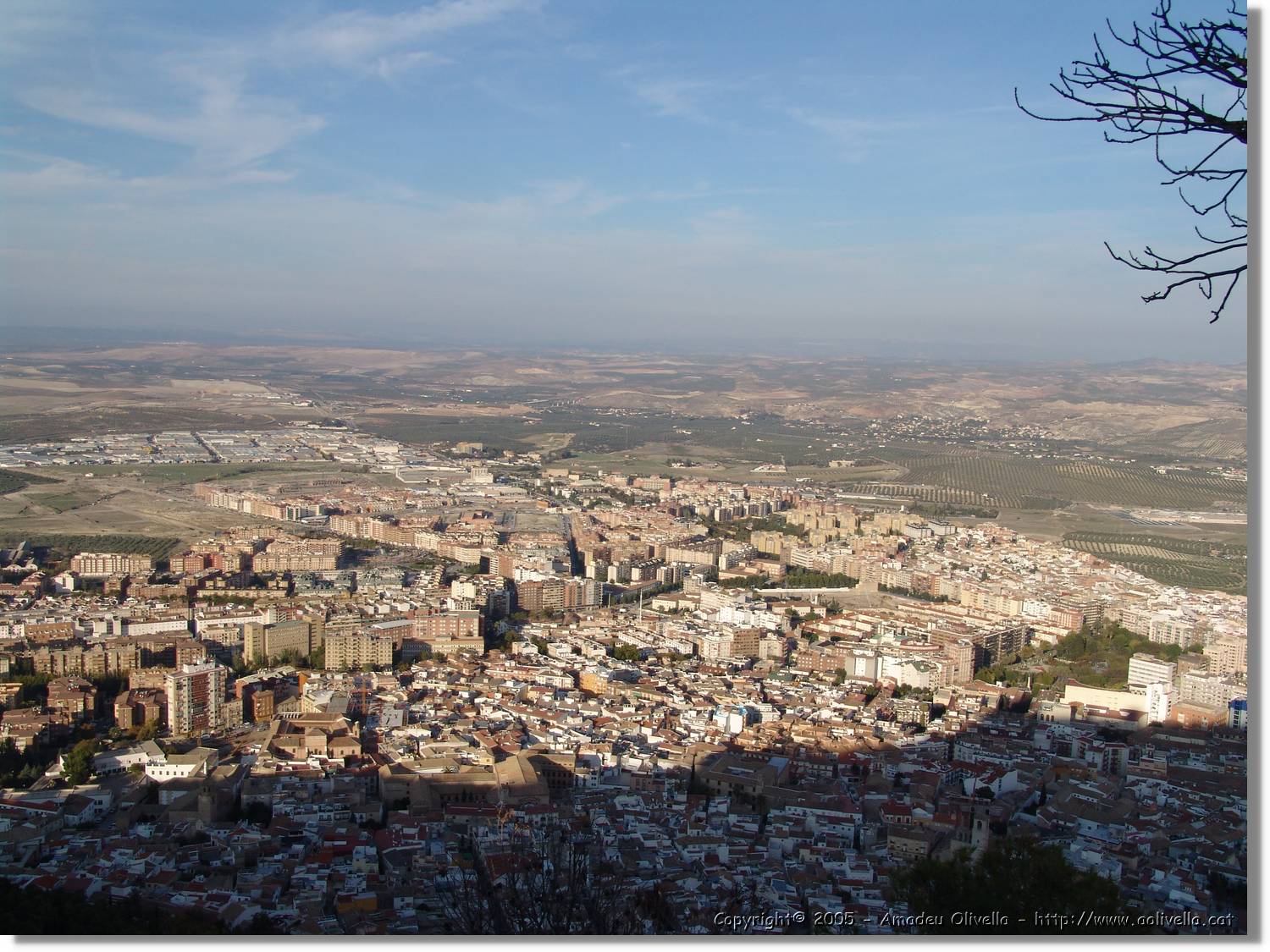 4Jaen_251.jpg