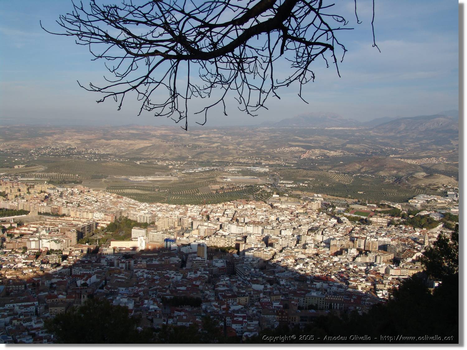 4Jaen_252.jpg