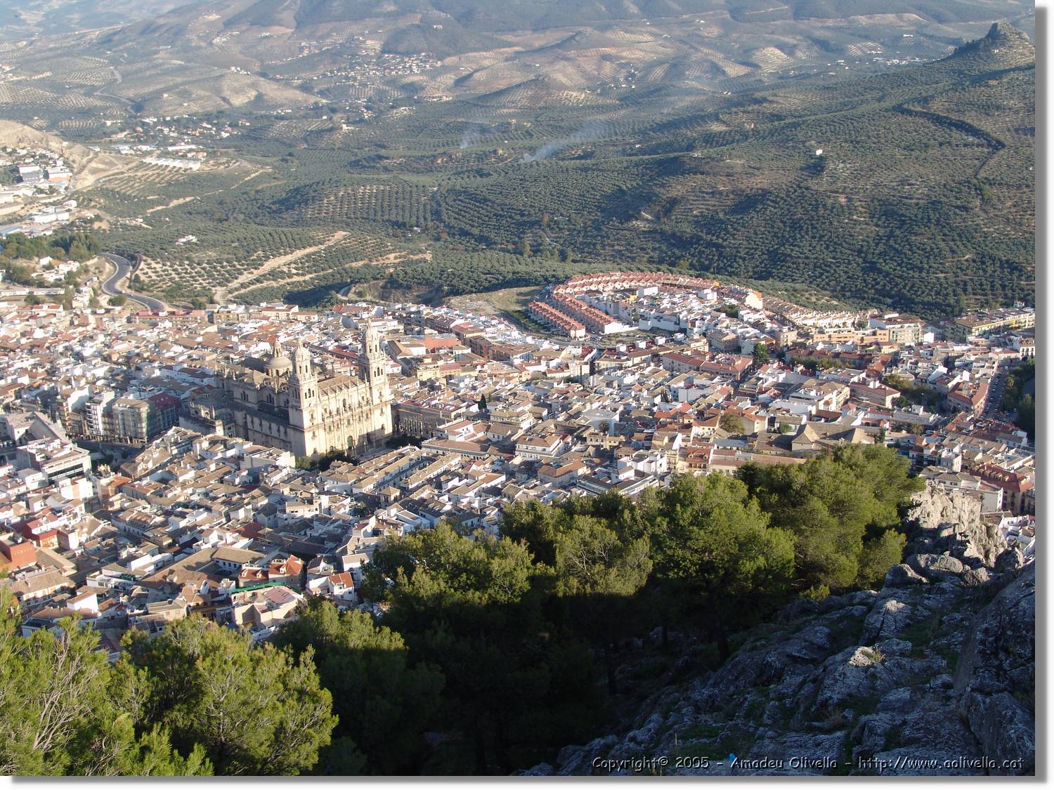 4Jaen_256.jpg