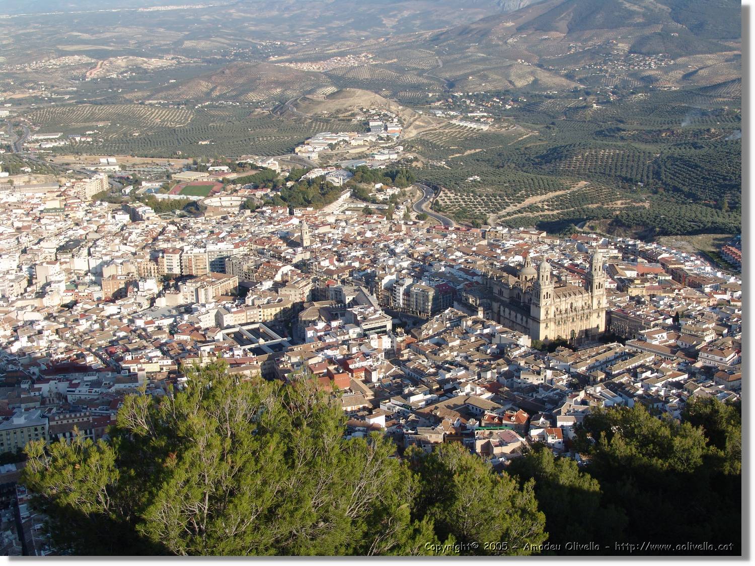 4Jaen_257.jpg