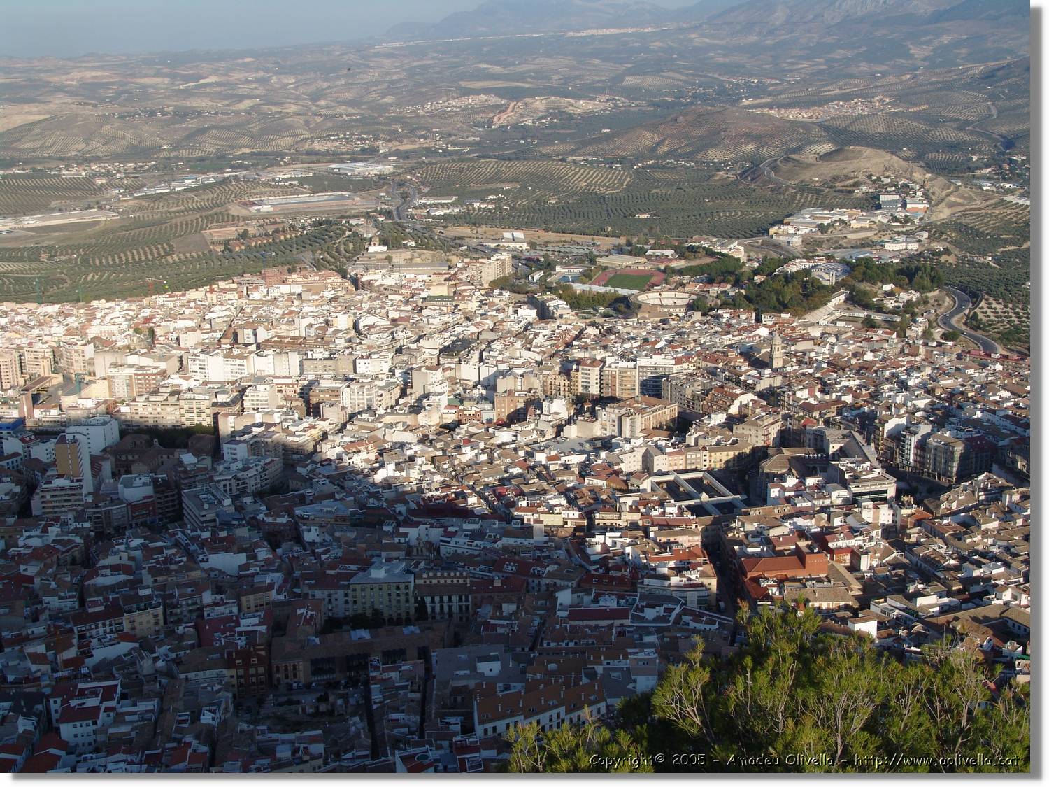 4Jaen_258.jpg