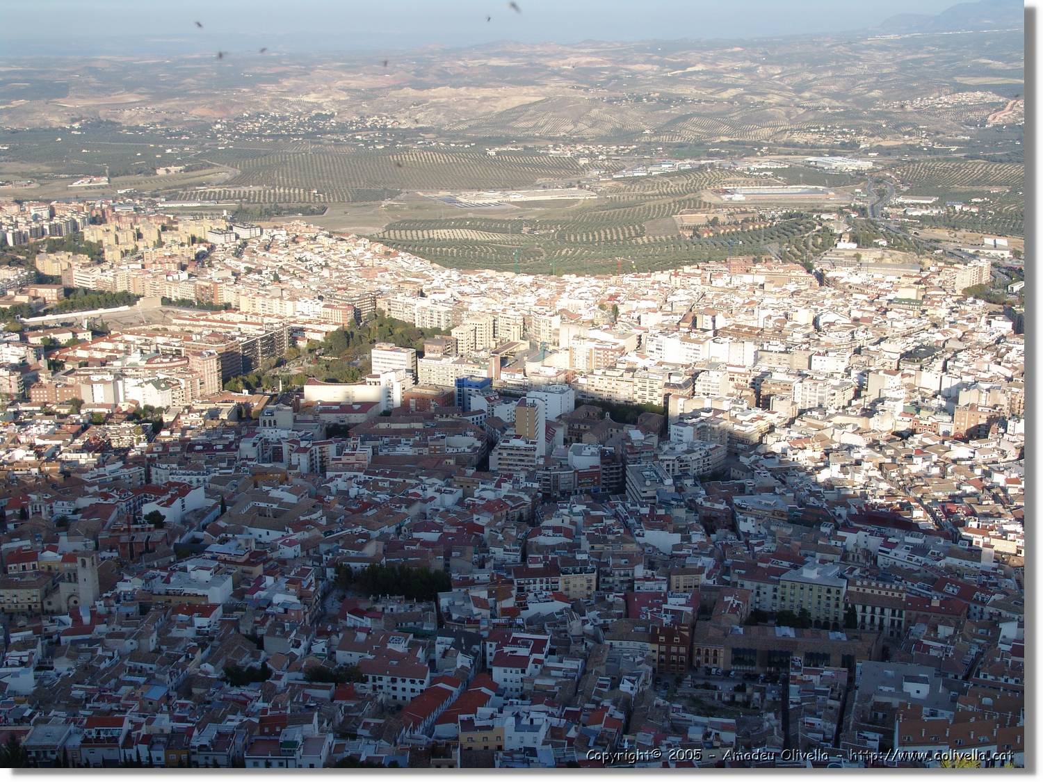 4Jaen_259.jpg