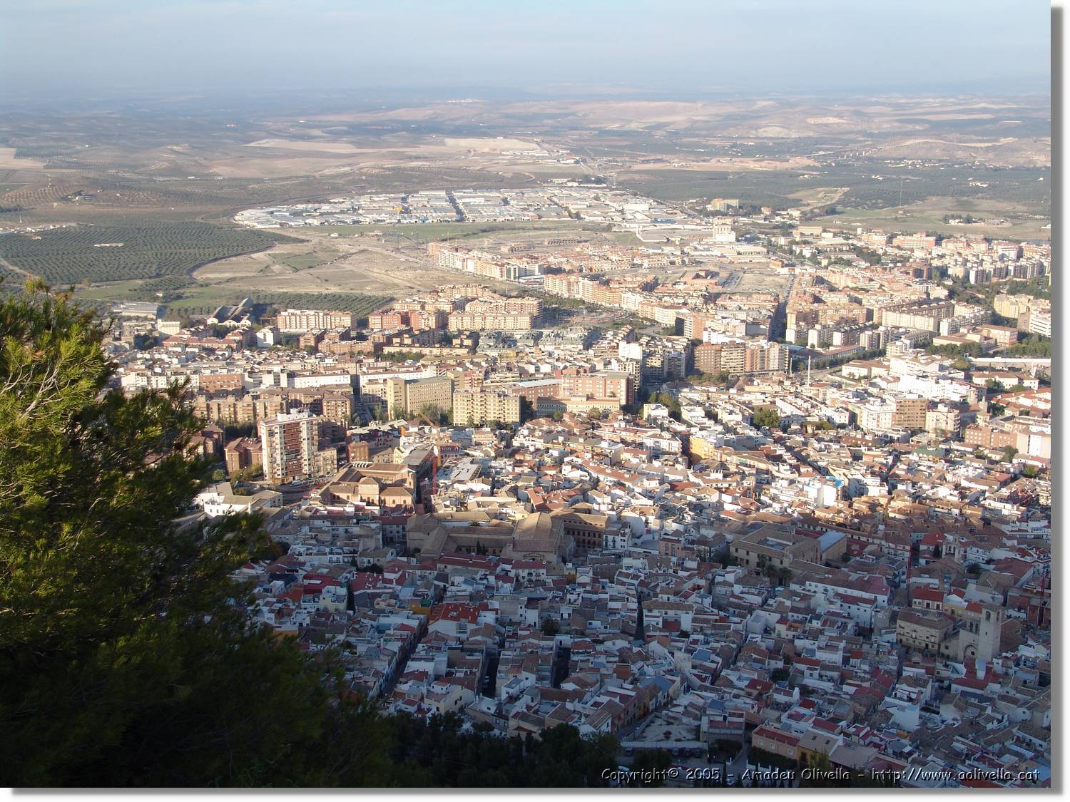 4Jaen_261.jpg