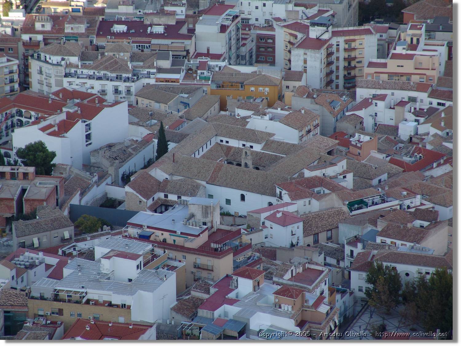 4Jaen_264.jpg