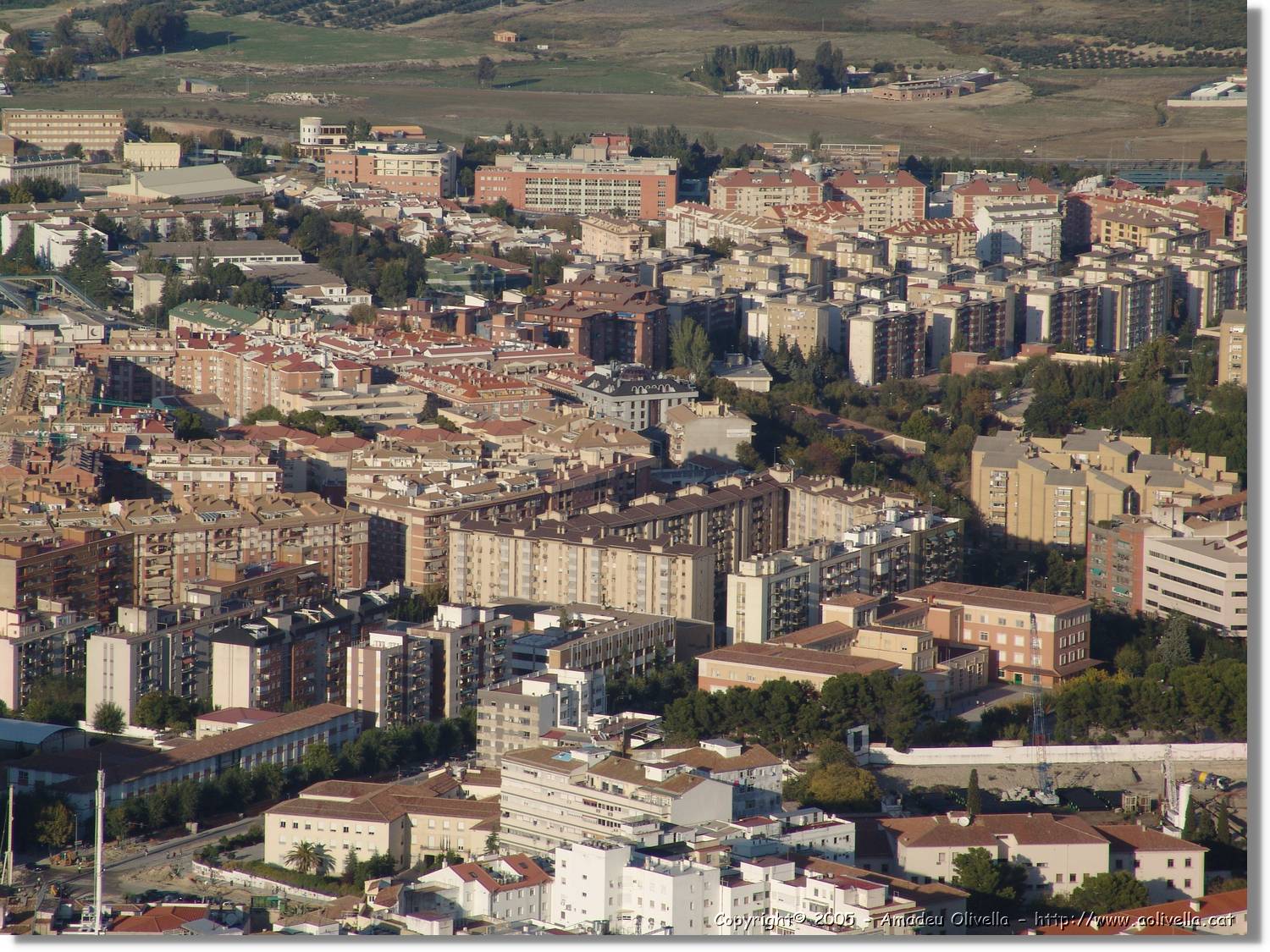 4Jaen_266.jpg