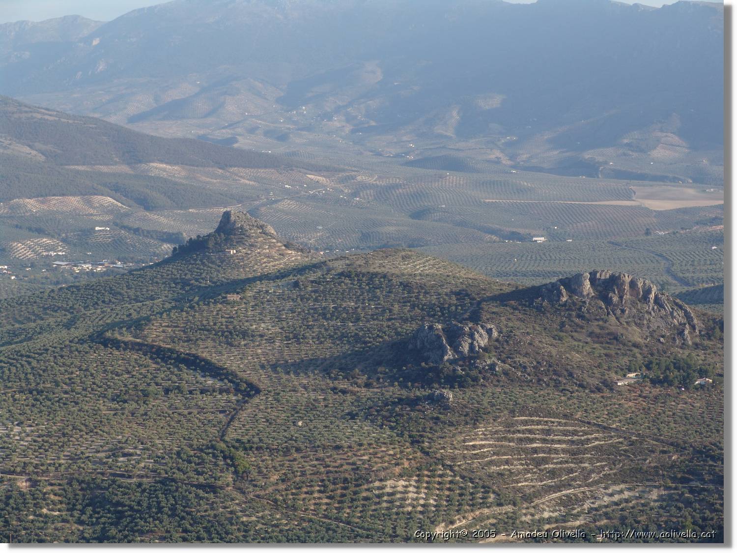 4Jaen_268.jpg
