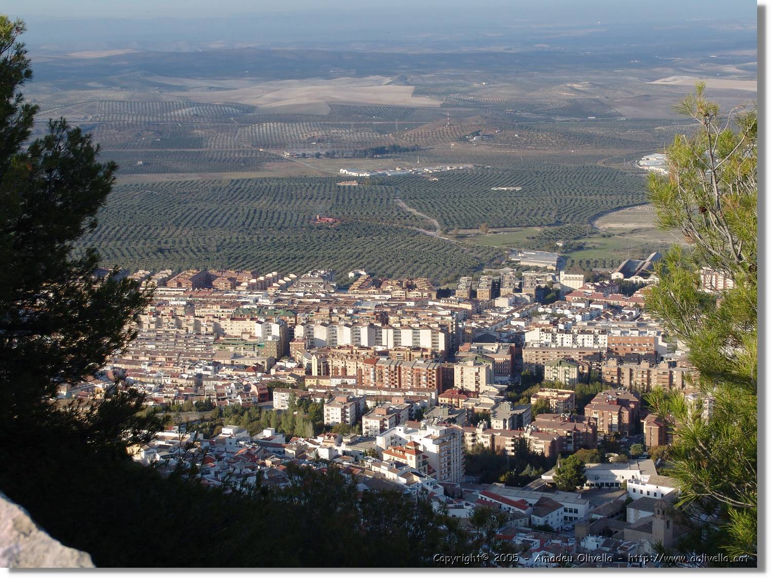 4Jaen_270.jpg