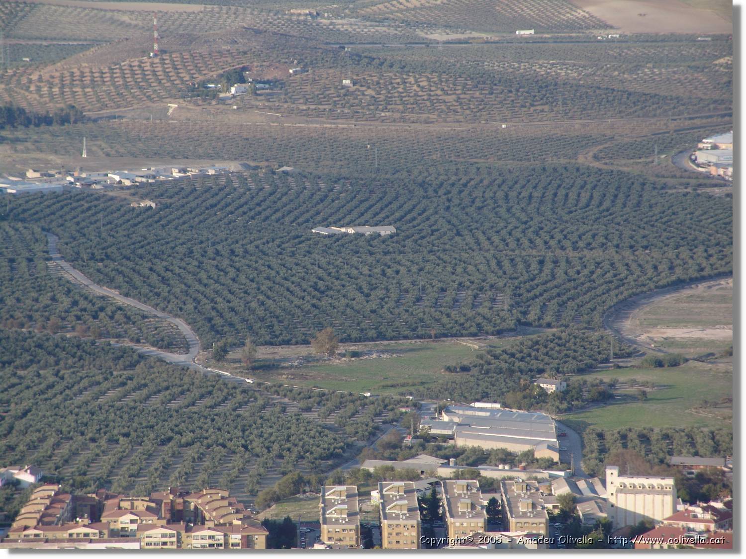 4Jaen_273.jpg