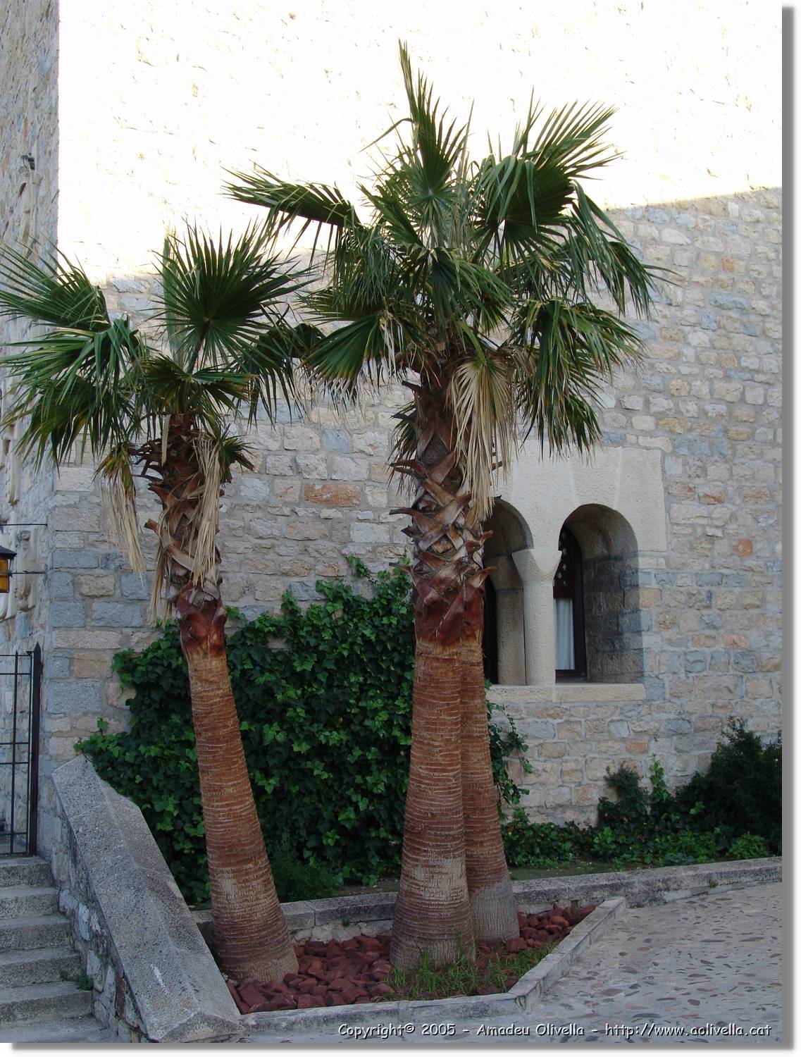 4Jaen_283.jpg
