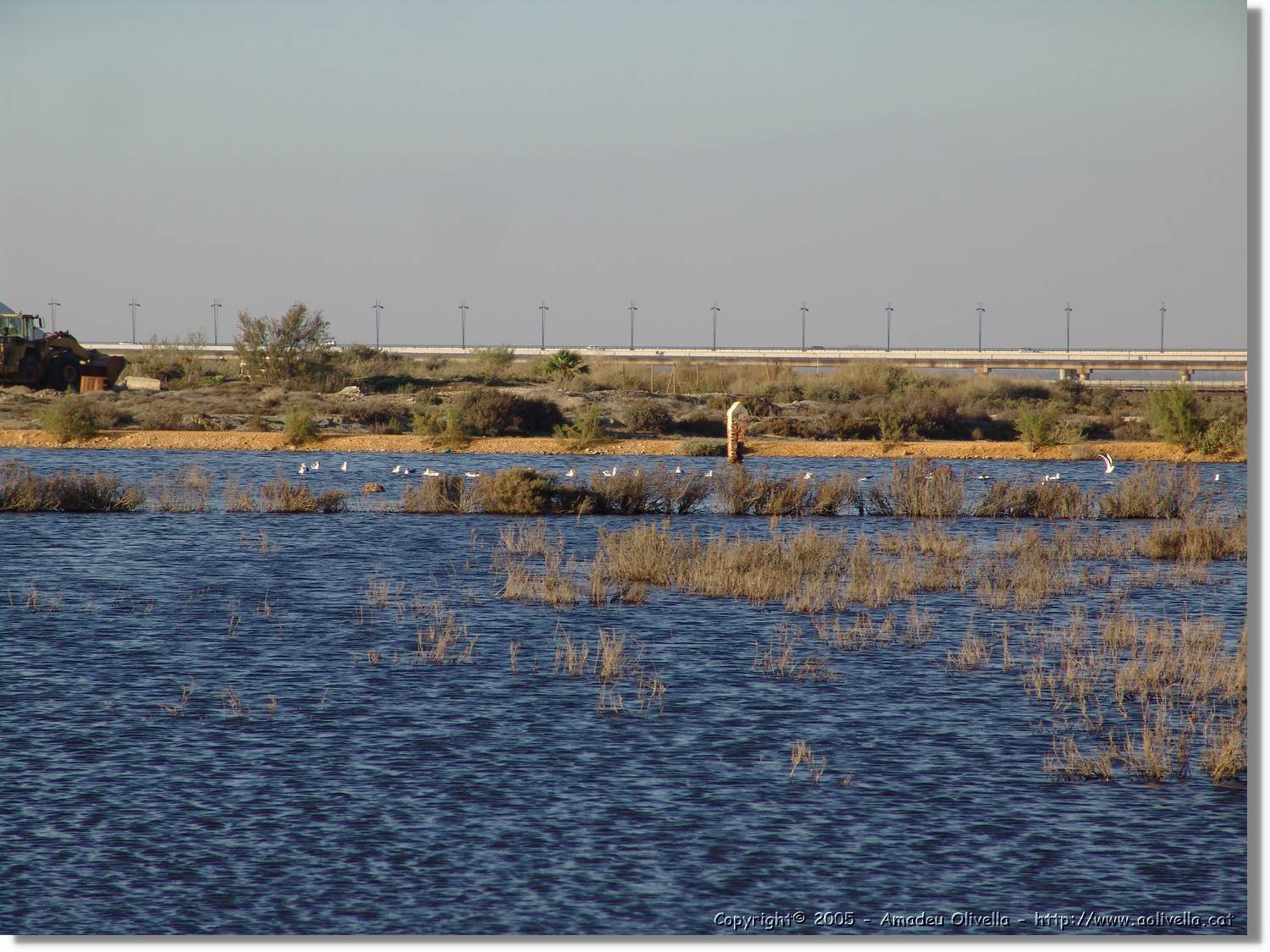 5Huelva_298.jpg