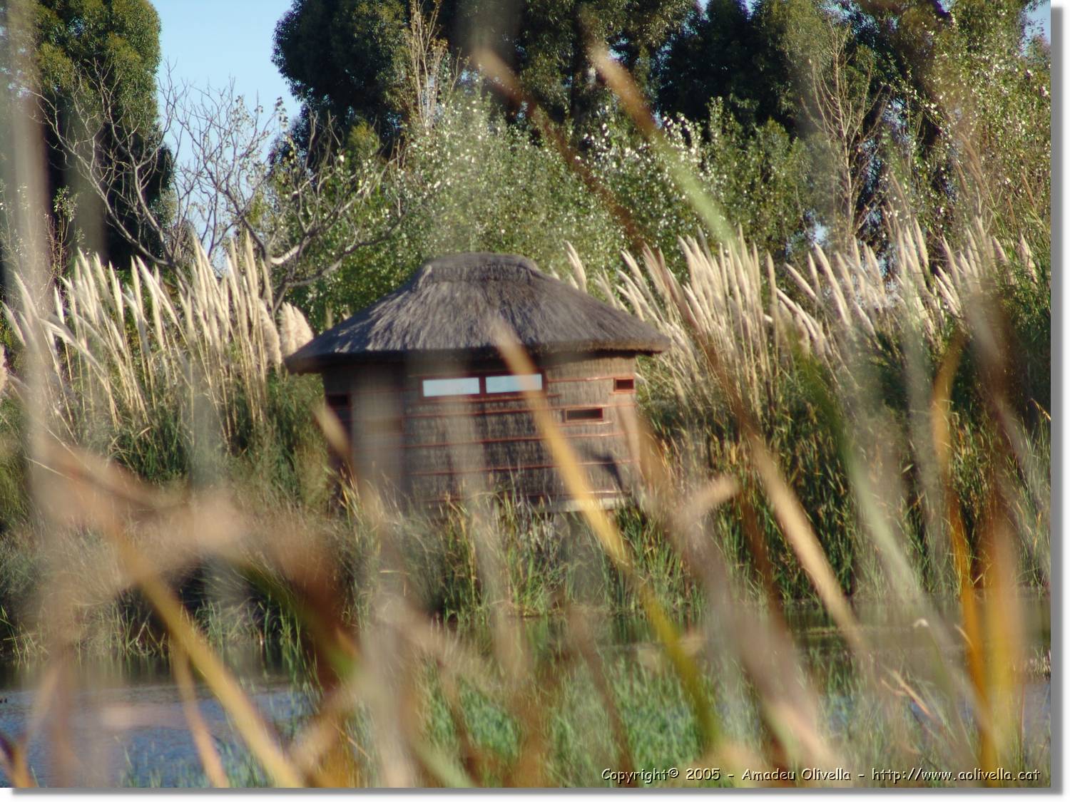 5Huelva_302.jpg