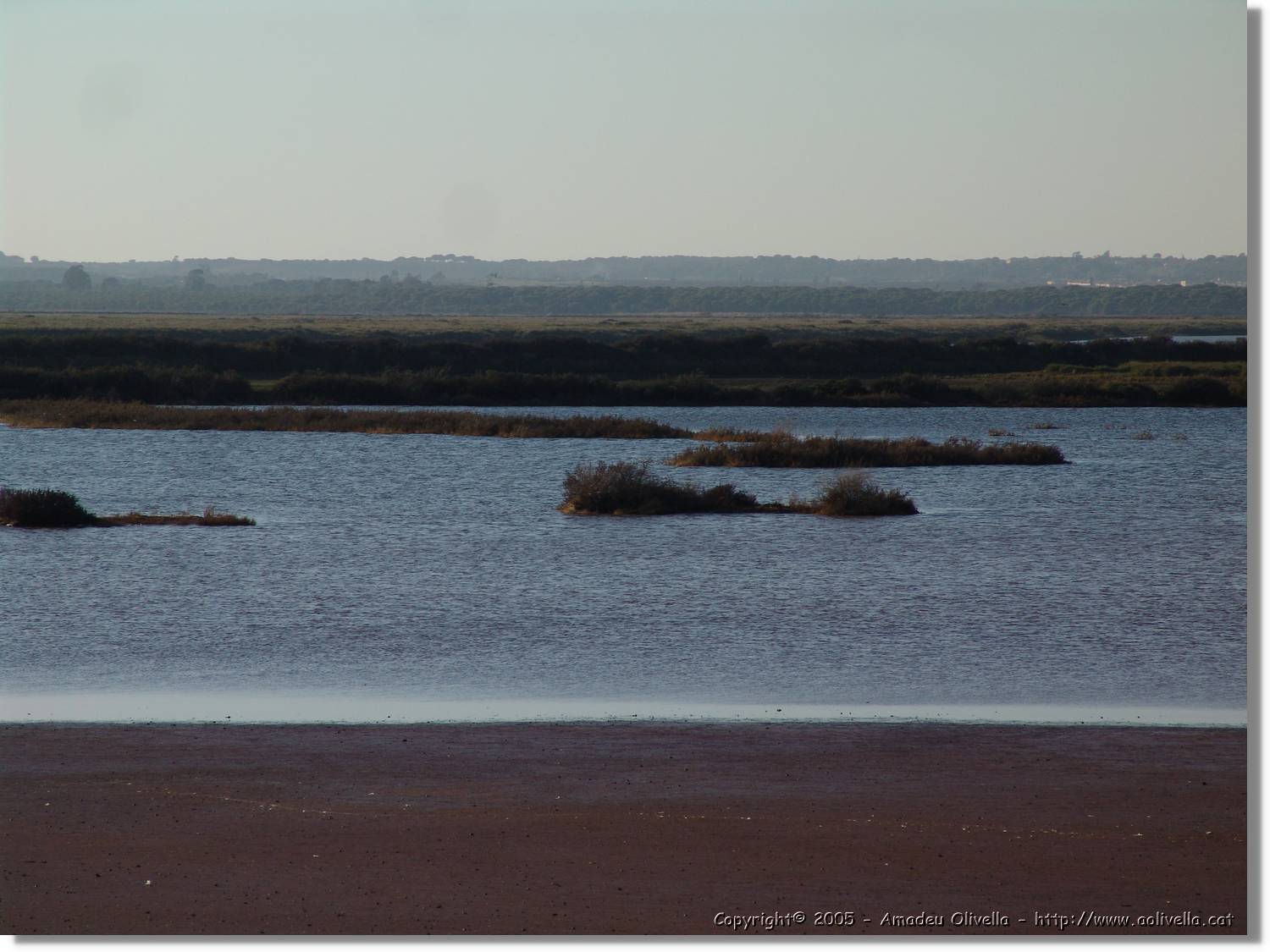 5Huelva_307.jpg