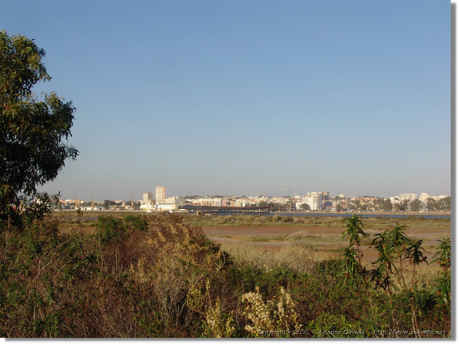 5Huelva_309.jpg