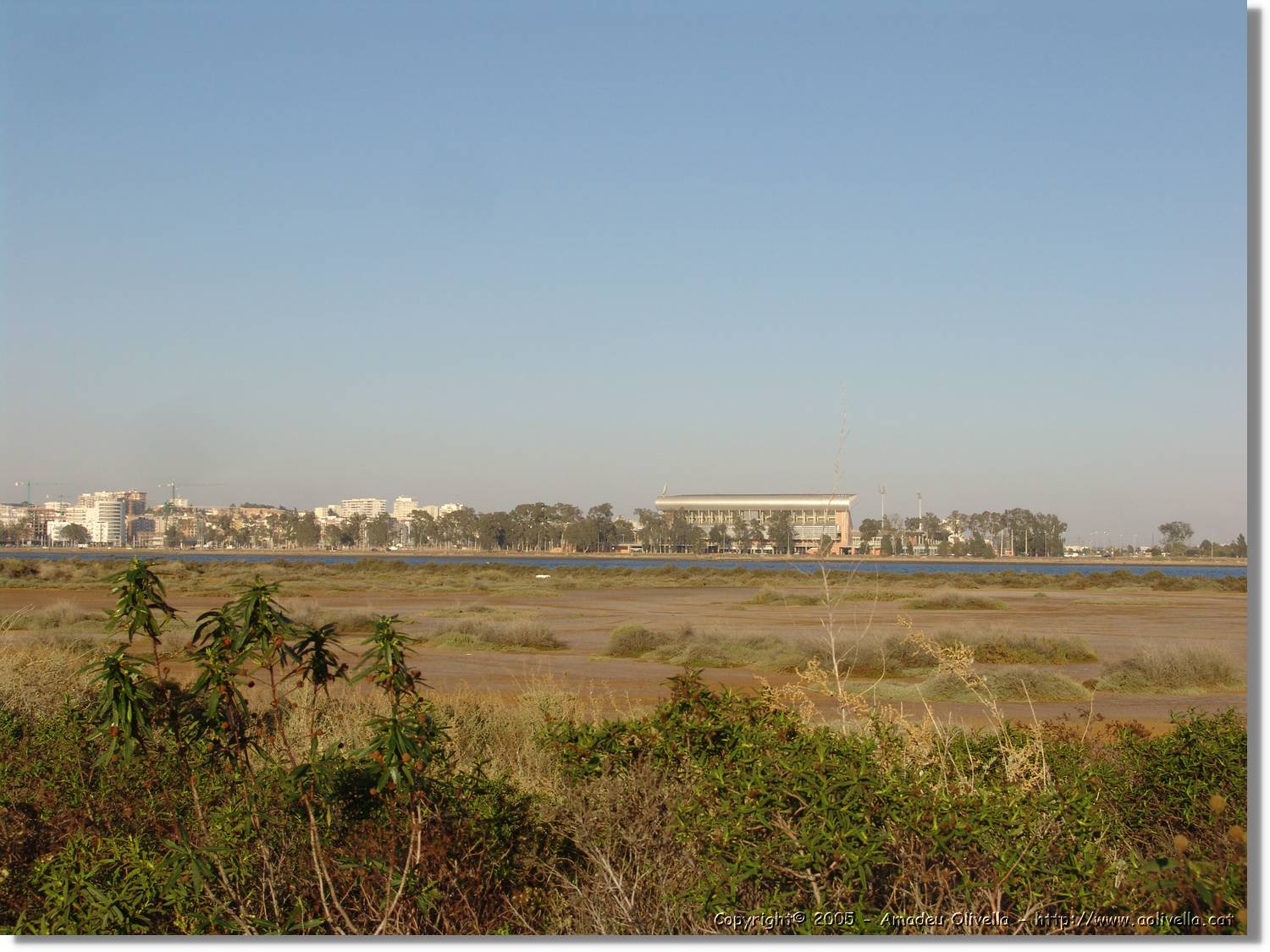 5Huelva_310.jpg
