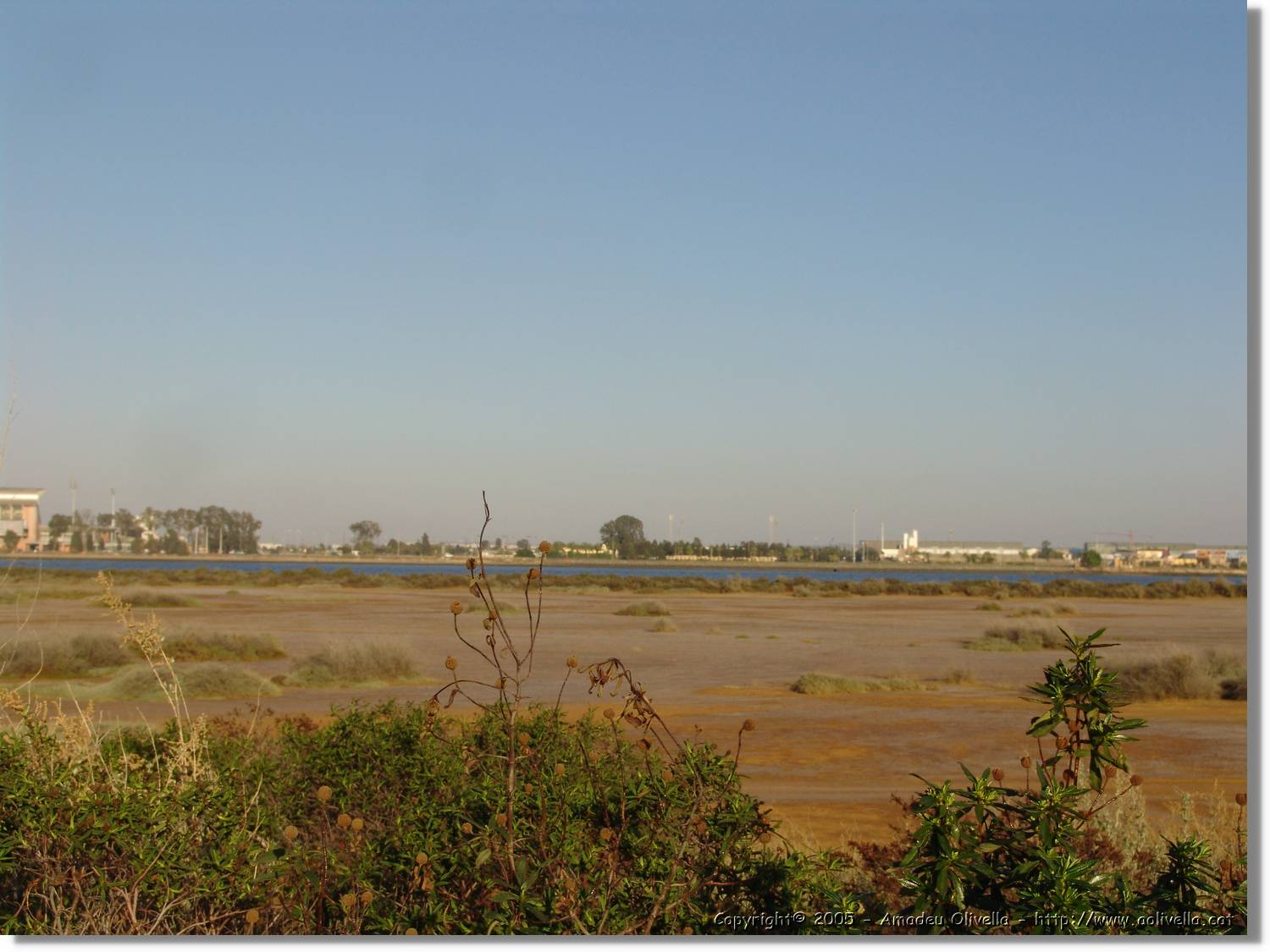 5Huelva_311.jpg