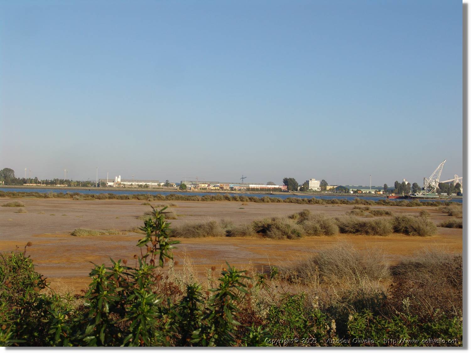 5Huelva_312.jpg