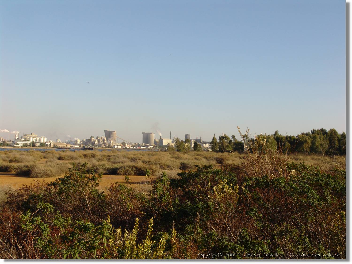 5Huelva_314.jpg