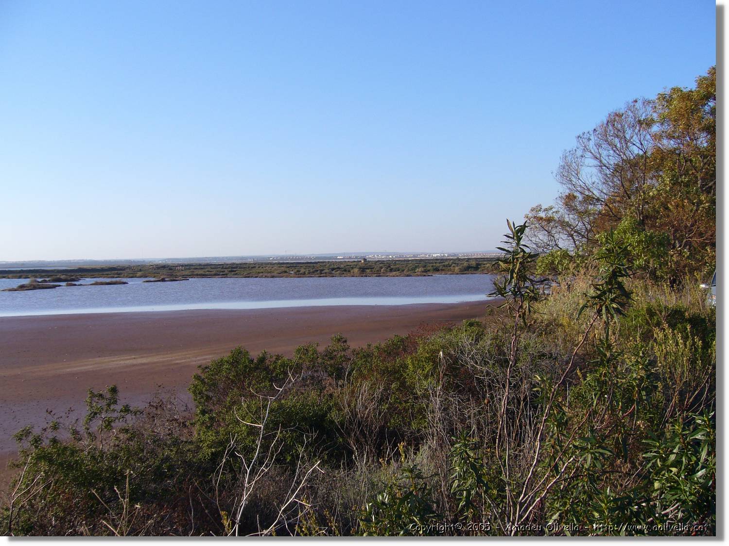 5Huelva_316.jpg