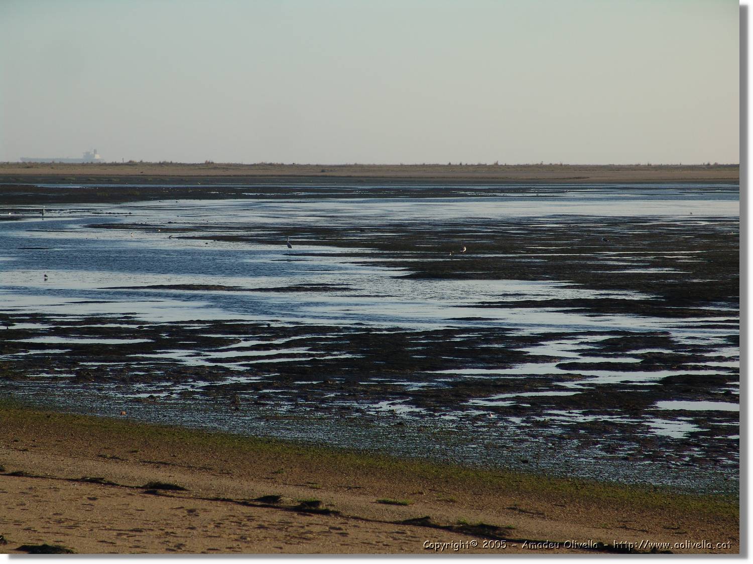 5Huelva_322.jpg