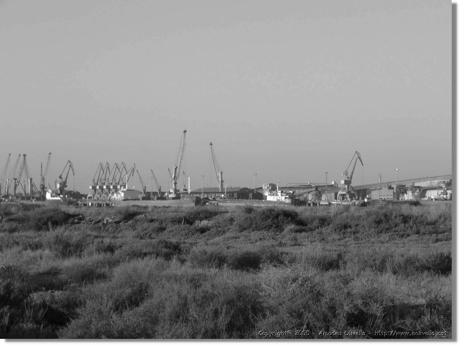 5Huelva_327.jpg