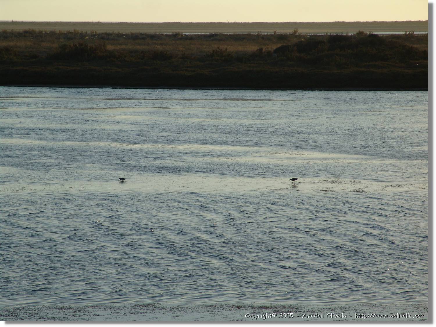 5Huelva_329.jpg