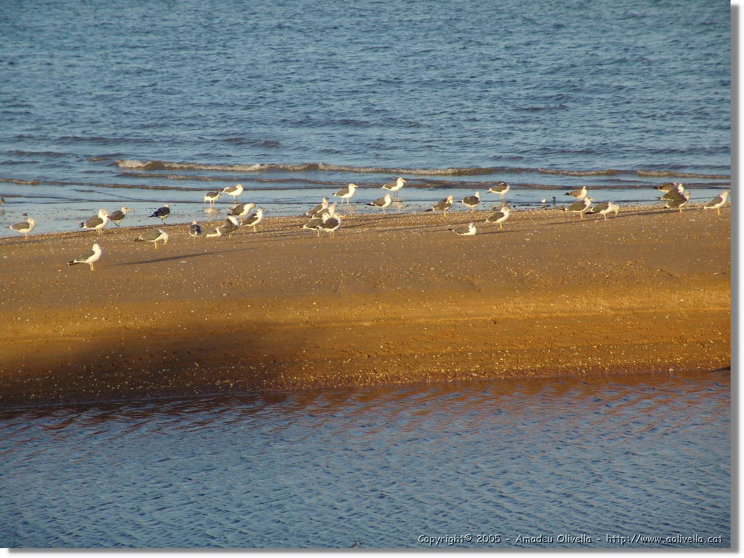 5Huelva_333.jpg