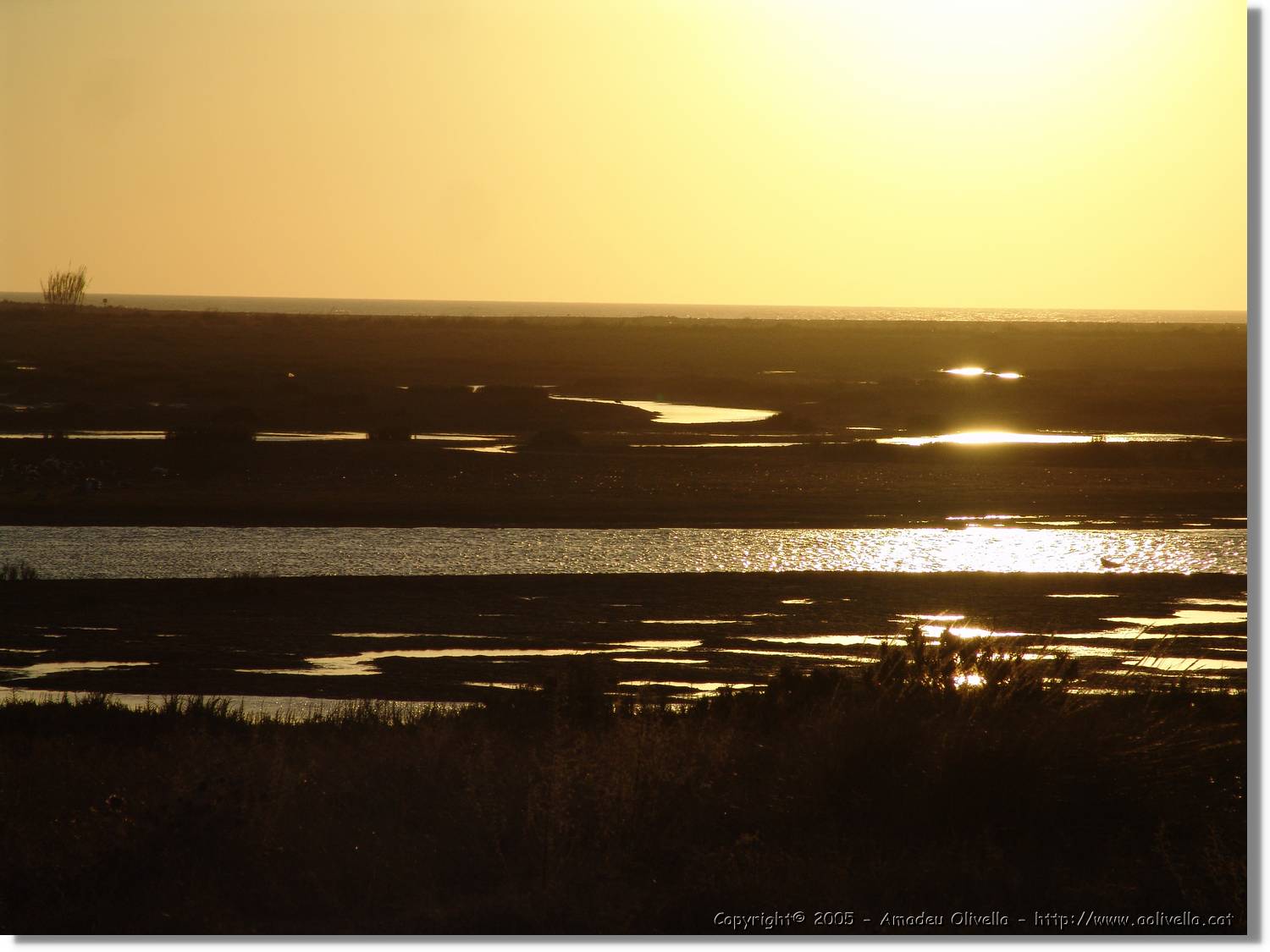 5Huelva_344.jpg