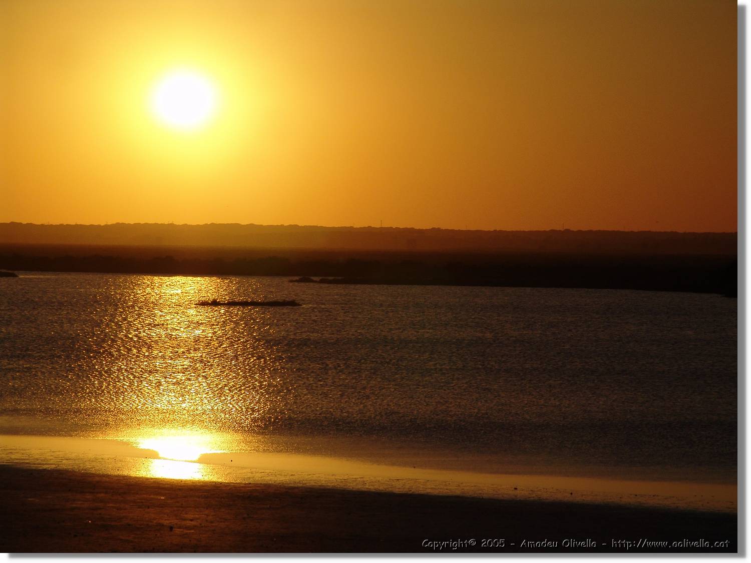 5Huelva_345.jpg
